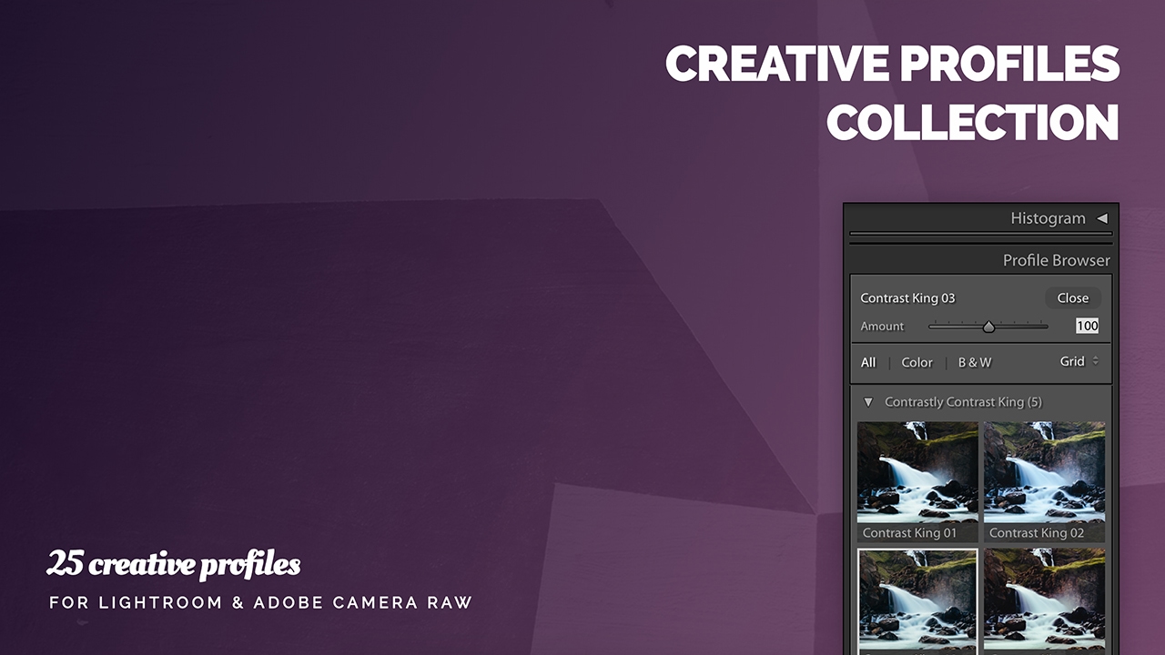 The Creative Profiles Collection